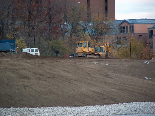 The bulldozers are taking a rest in re-building Stong Pond in October 2007. Note the ring-billed gulls who are feasting on the exposed goodies unearthed by the machines.